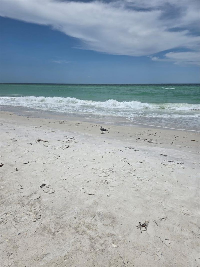 1109 49th Avenue Drive W, Bradenton, FL 34207 Photo