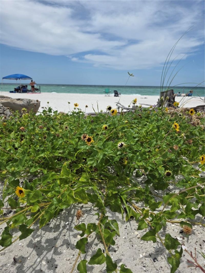 1109 49th Avenue Drive W, Bradenton, FL 34207 Photo