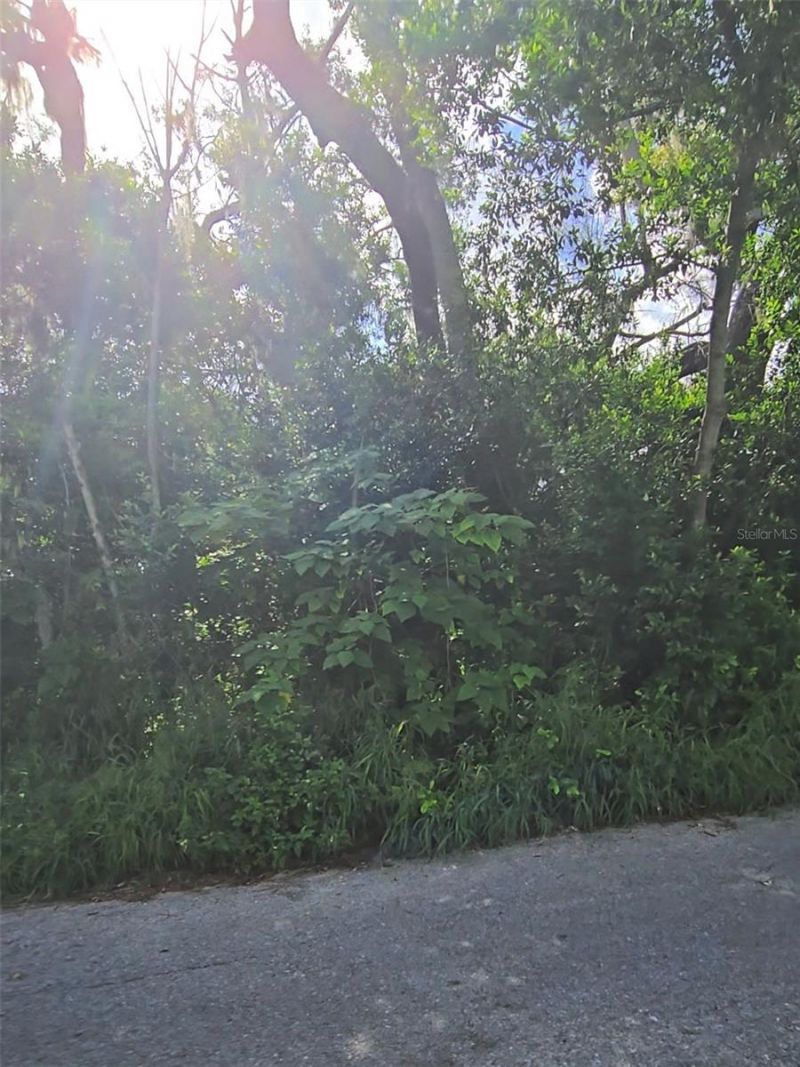 Lenox Drive, New Port Richey, FL 34653 Photo