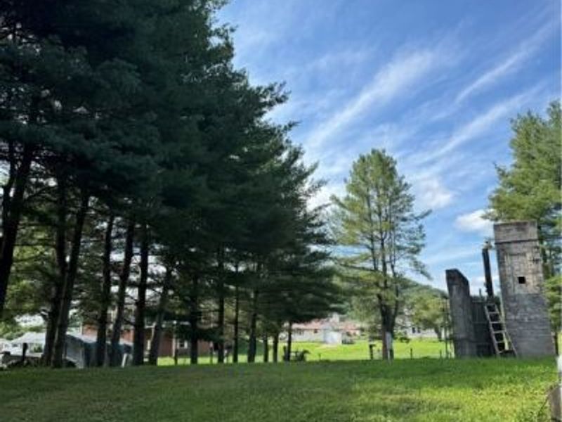 37020 Monroe Street, Sardis, OH 43946 Photo 14