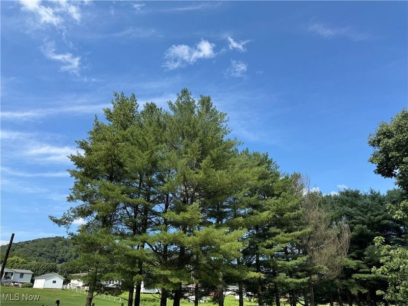 37020 Monroe Street, Sardis, OH 43946 Photo 18