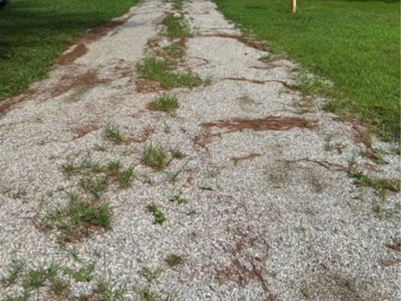 37020 Monroe Street, Sardis, OH 43946 Photo 19