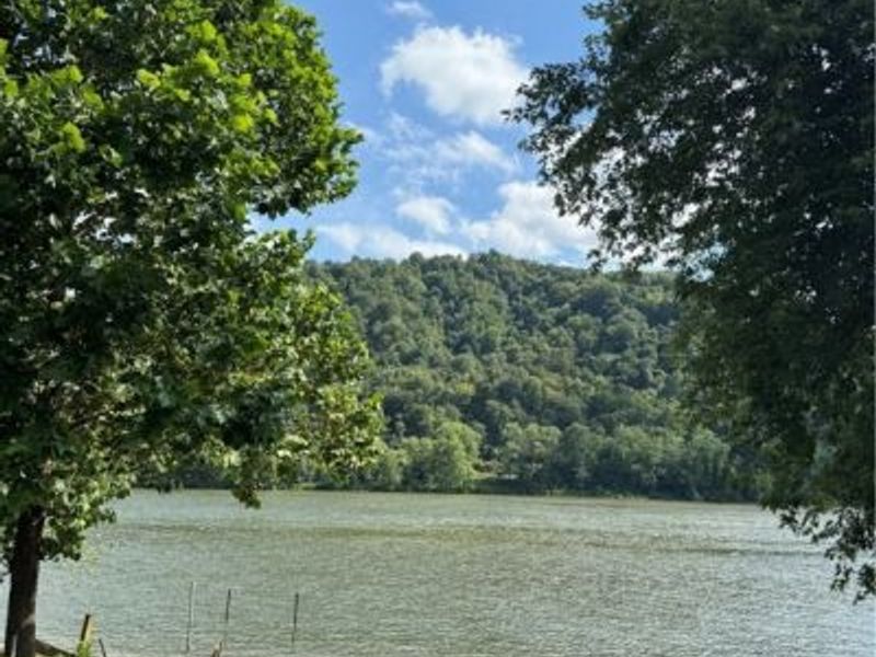 37020 Monroe Street, Sardis, OH 43946 Photo 8