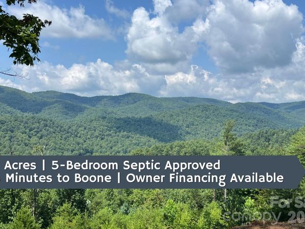 TBD Lazy Bear Lane, Purlear, NC 28665
