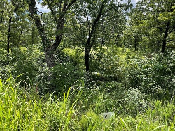 13 S Scissortail , Sulphur, OK 73086