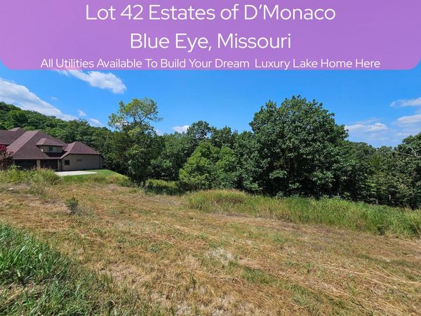 Lot 42 Valencia Court, Blue Eye, MO 65611
