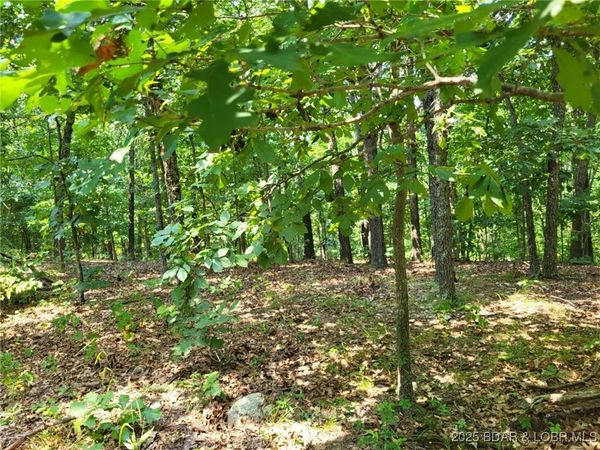 Lee Drive, Unit 2020, Edwards, MO 65326