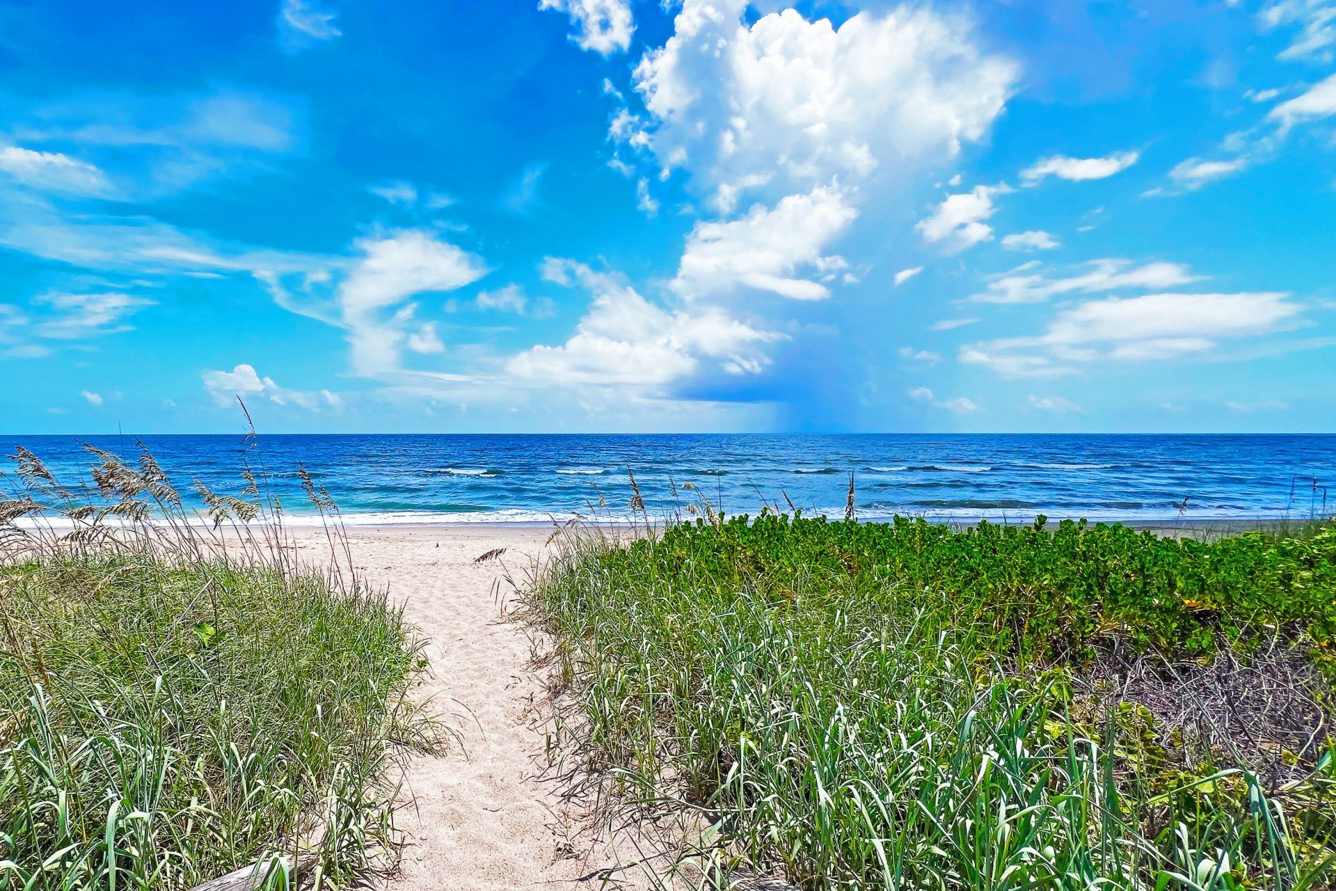 3541 NE Ocean Boulevard, Unit 4, Jensen Beach, FL 34957 Photo