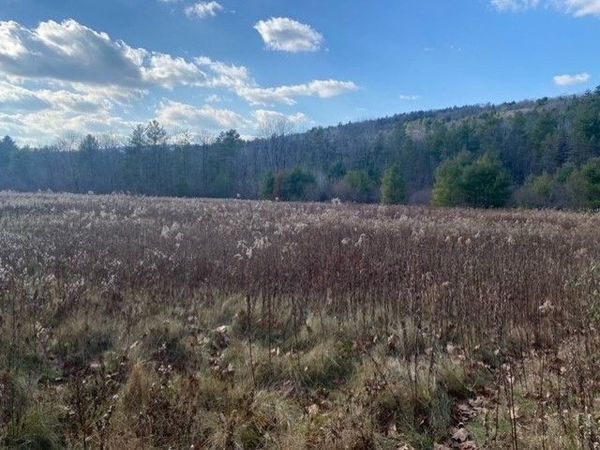 0 E Alford Rd, West Stockbridge, MA 01266