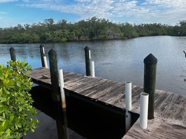 5060 Esplanade St, Bonita Springs, FL 34134 Photo