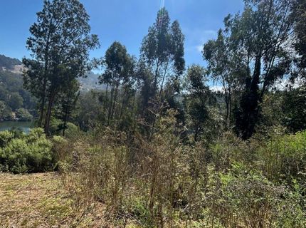 Wildcat Canyon Rd, Berkeley, CA 94708 Photo