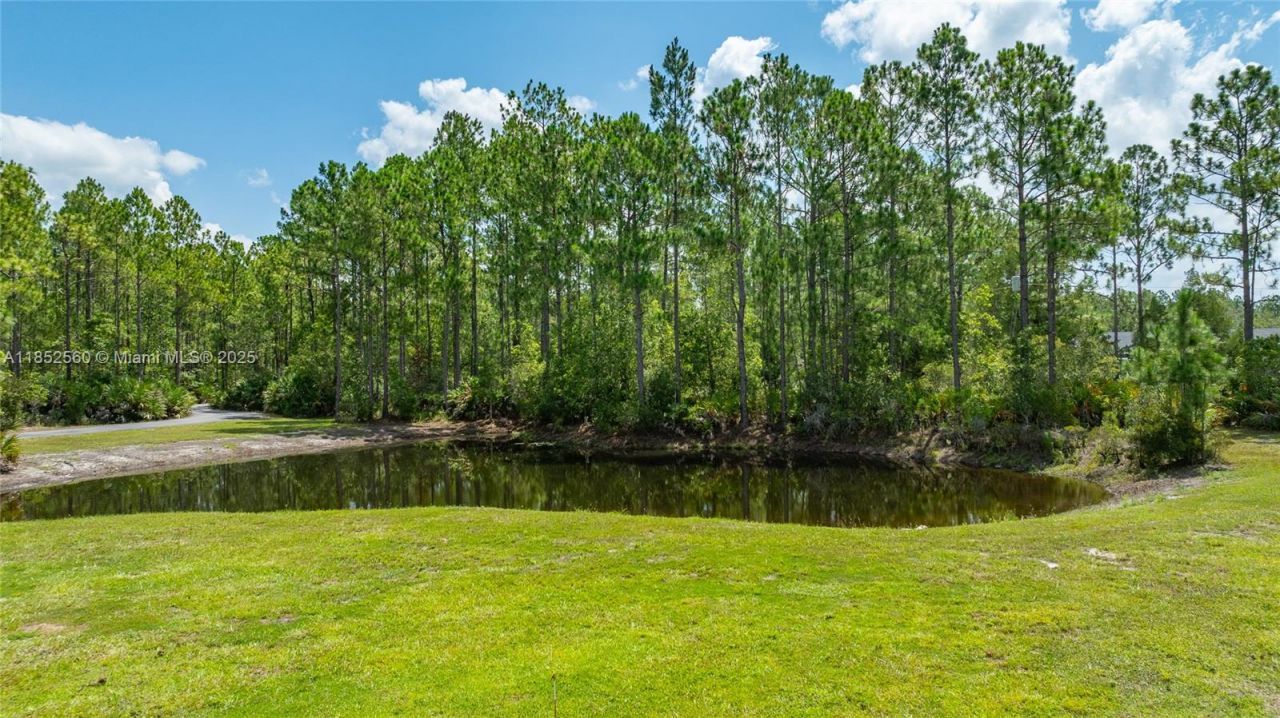 147 Ashby Cove Ln, New Smyrna Beach, FL 32168 Photo