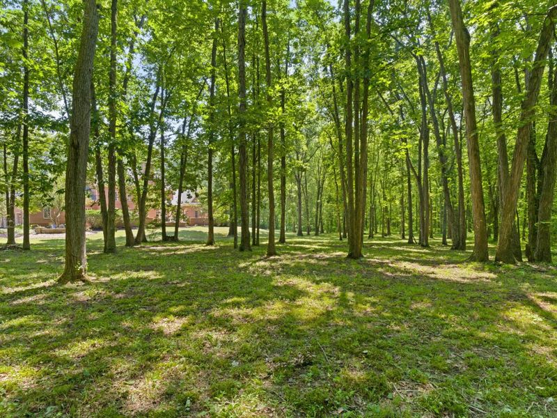 5455 Plantation Road, Sunbury, OH 43074 Photo 133