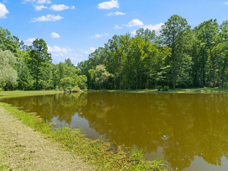 5455 Plantation Road, Sunbury, OH 43074 Photo 157