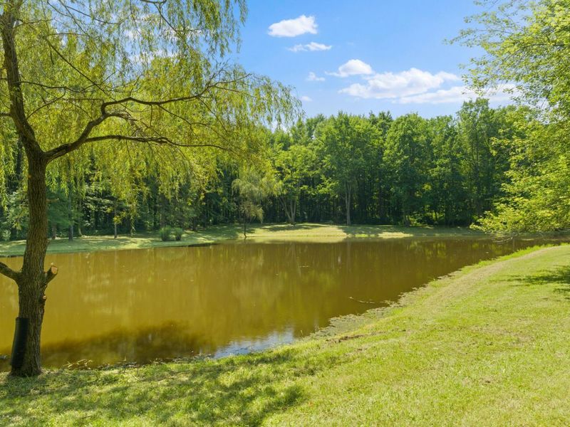 5455 Plantation Road, Sunbury, OH 43074 Photo 158