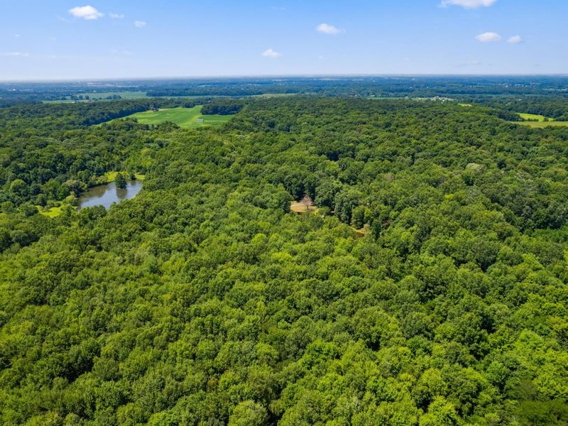 5455 Plantation Road, Sunbury, OH 43074 Photo 171