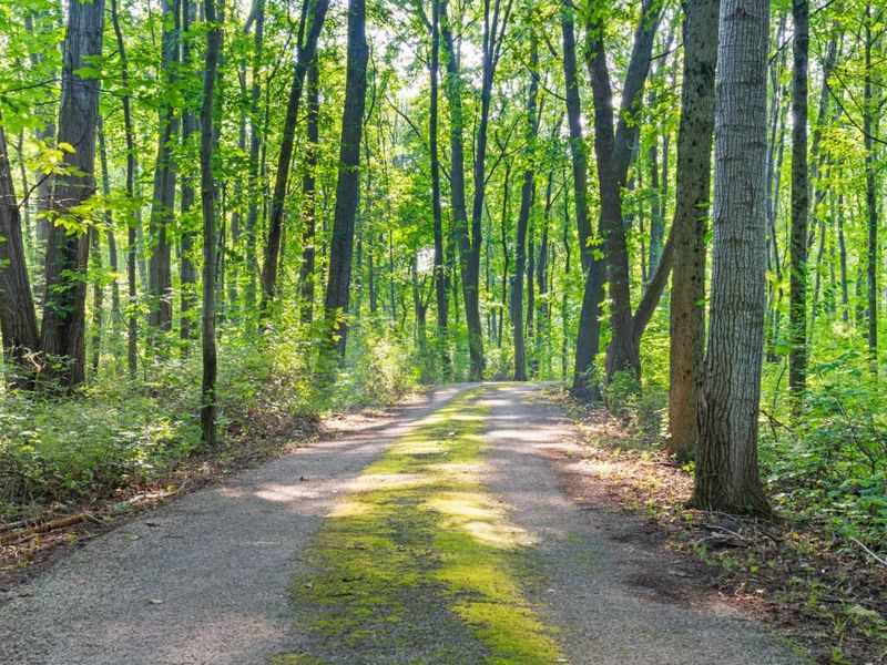 5455 Plantation Road, Sunbury, OH 43074 Photo 6