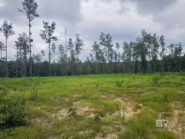 23799 Lonnie Hadley Road, Perdido, AL 36562