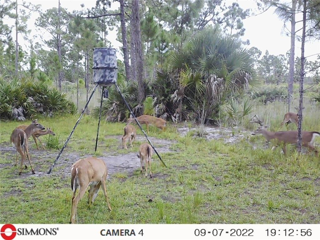 12050 138th Avenue, Fellsmere, FL 32948 Photo