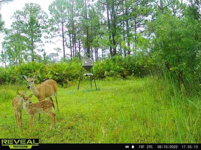 12050 138th Avenue, Fellsmere, FL 32948 Photo