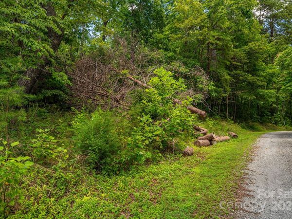 Lot 208 Plantation Drive, Rutherfordton, NC 28139
