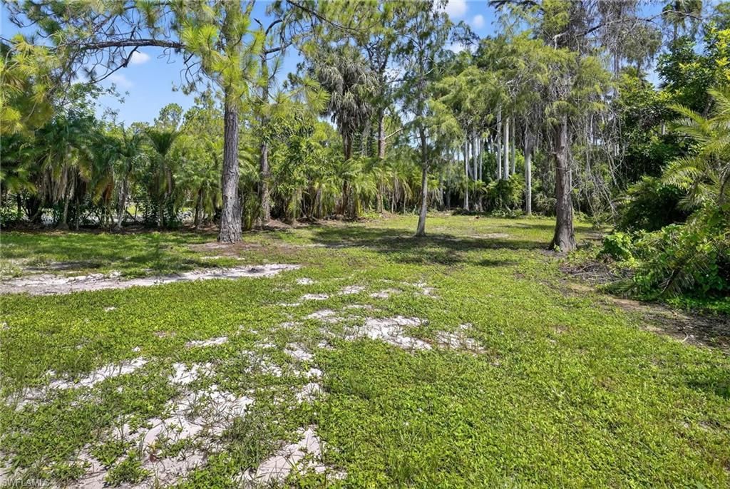 6035 Painted Leaf Ln, Naples, FL 34116 Photo