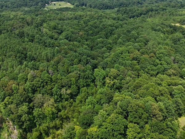 Pine Bluff Road, Cruger, MS 38924