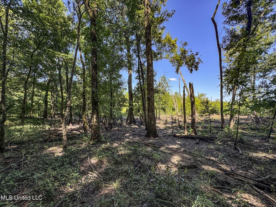 Property Image 123