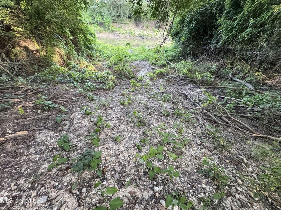 Property Image 83