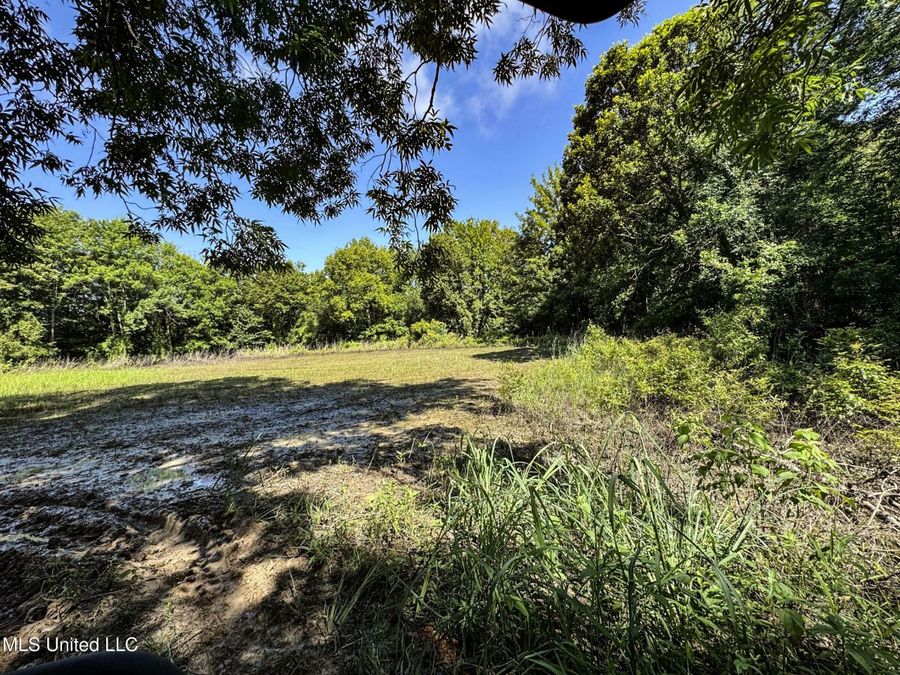 Property Image 89