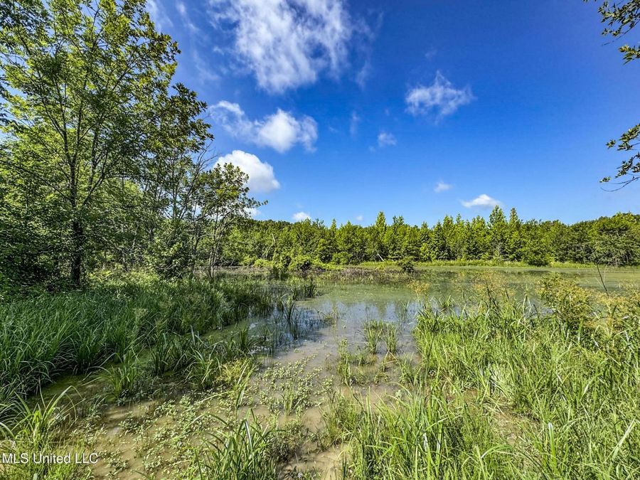 Property Image 96