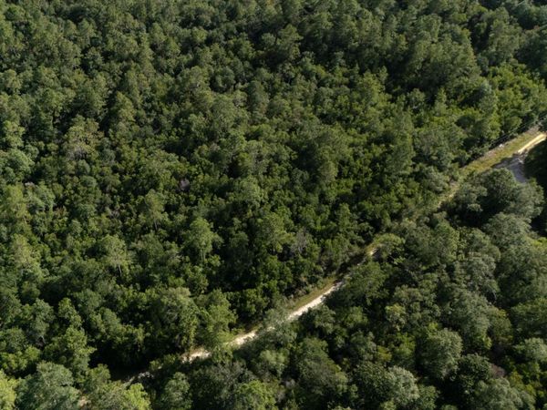 Ashmore Ridge Drive, Vancleave, MS 39565