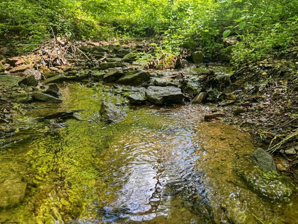 TBD Rush Run Road, Fairview, WV 26570