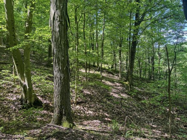 TBD Rush Run Road, Fairview, WV 26570