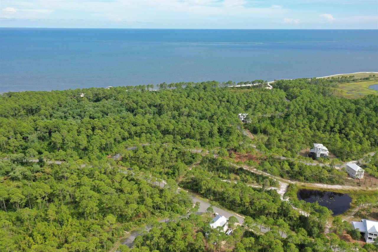 134 Fish Hook Way, Saint Teresa, FL 32358 Photo