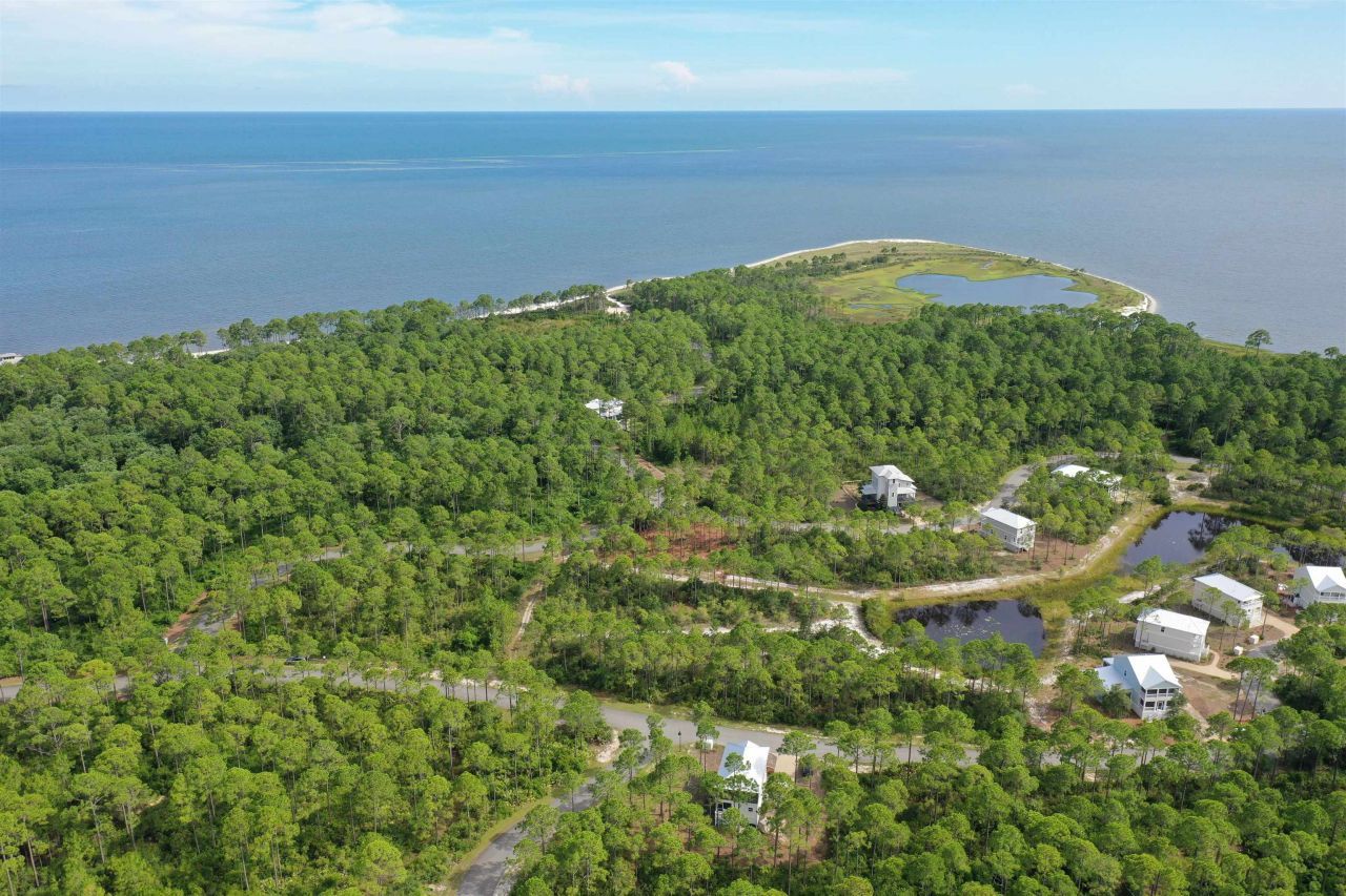 134 Fish Hook Way, Saint Teresa, FL 32358 Photo