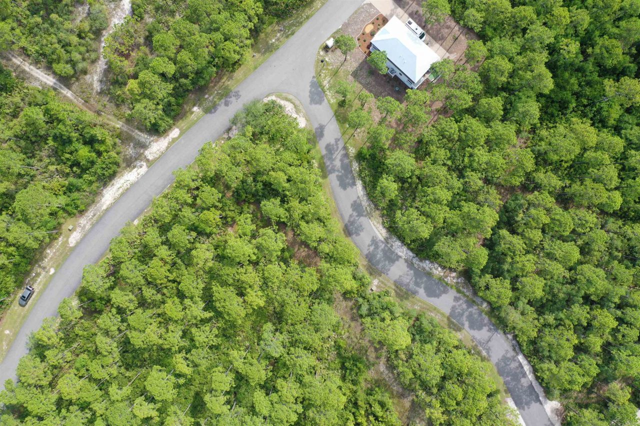 134 Fish Hook Way, Saint Teresa, FL 32358 Photo