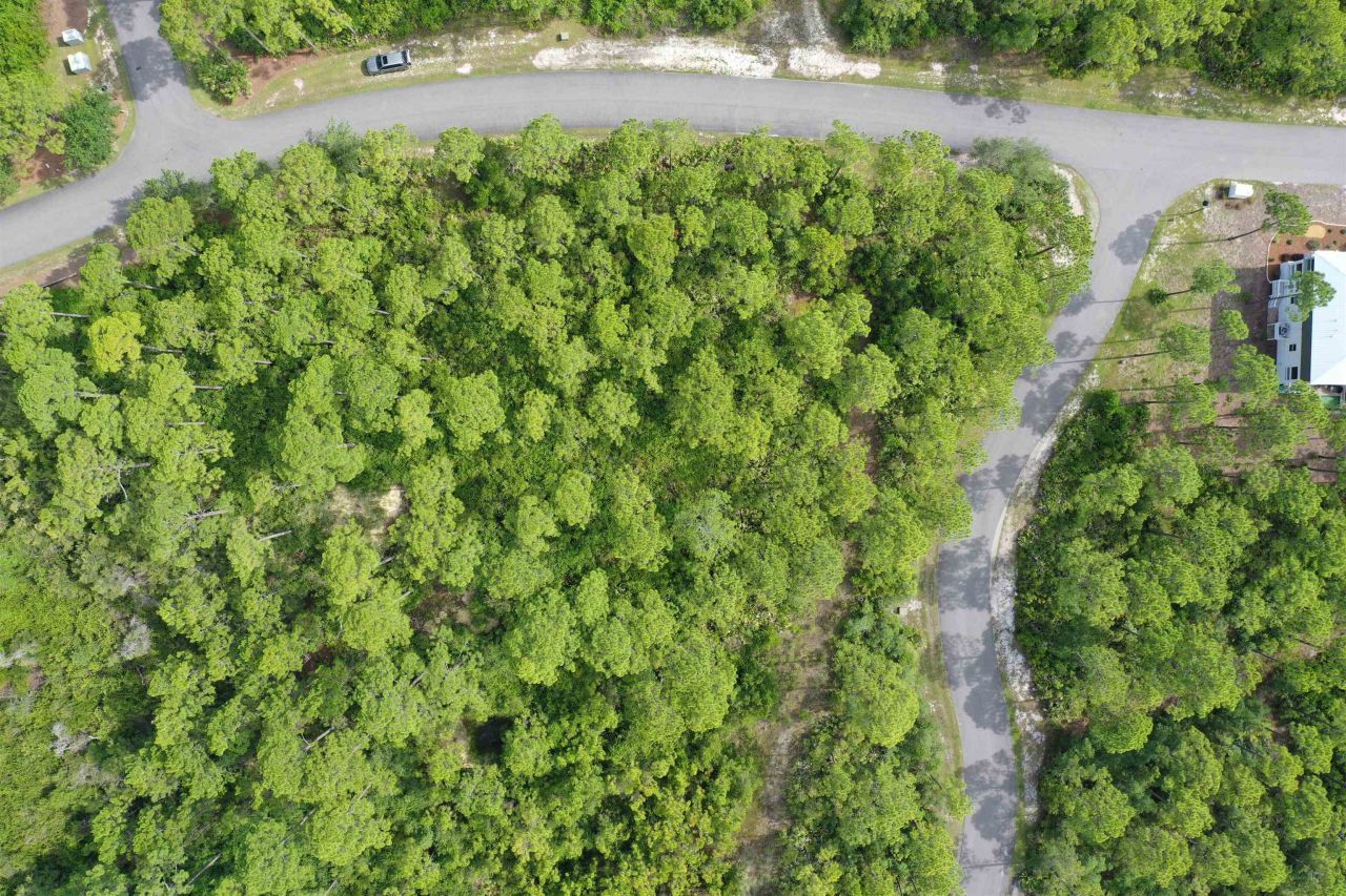 134 Fish Hook Way, Saint Teresa, FL 32358 Photo