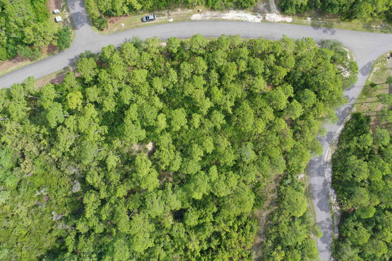 134 Fish Hook Way, Saint Teresa, FL 32358 Photo