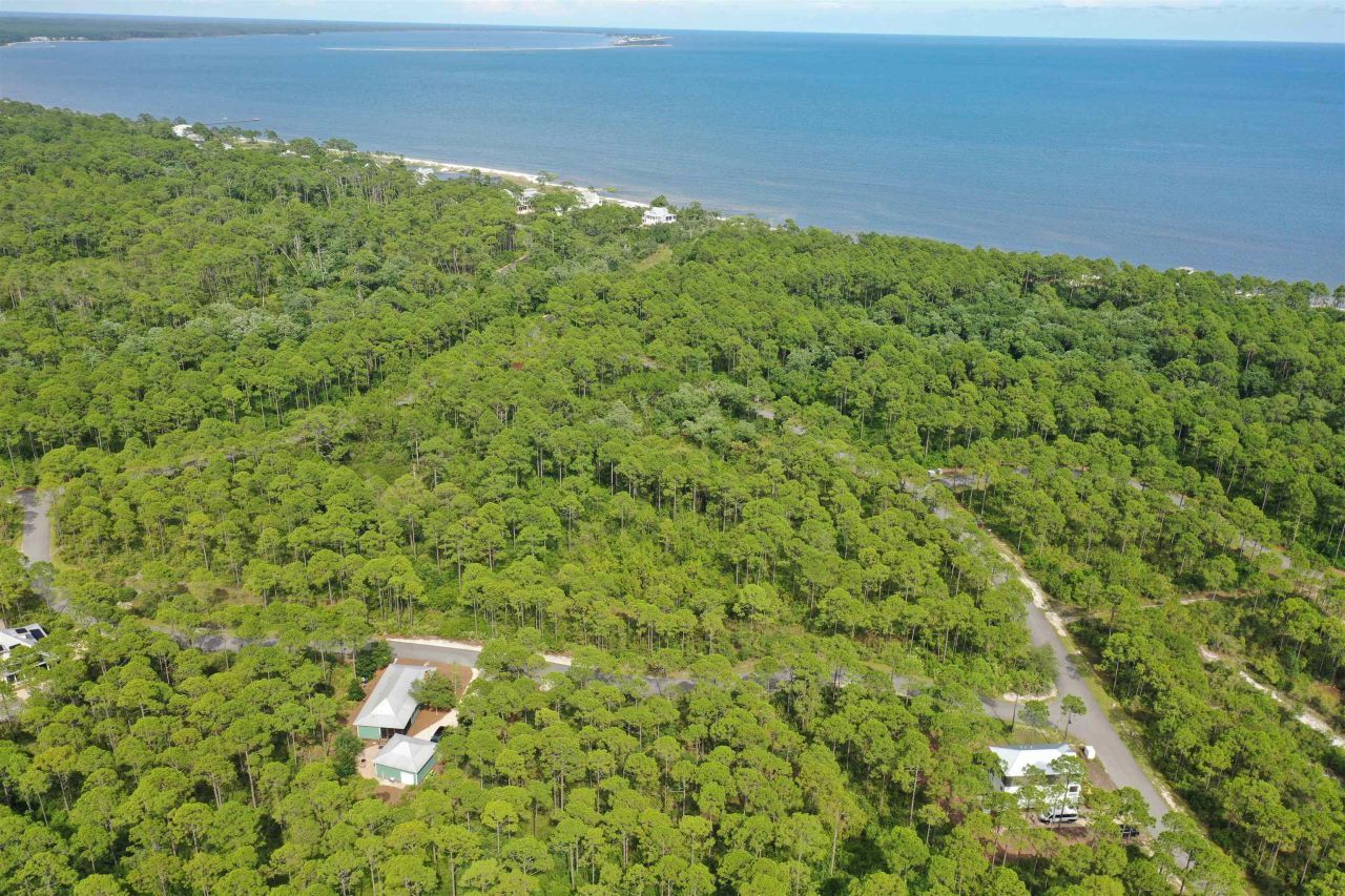 134 Fish Hook Way, Saint Teresa, FL 32358 Photo