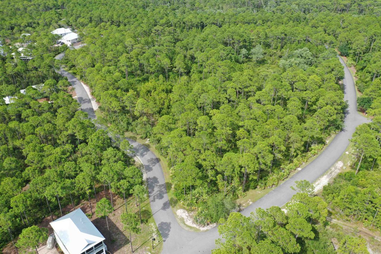 134 Fish Hook Way, Saint Teresa, FL 32358 Photo