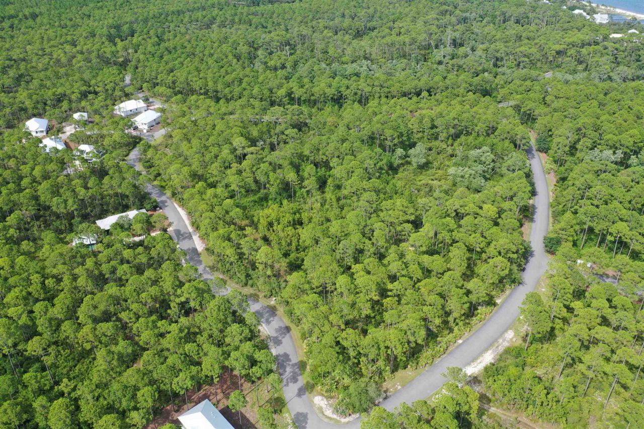 134 Fish Hook Way, Saint Teresa, FL 32358 Photo