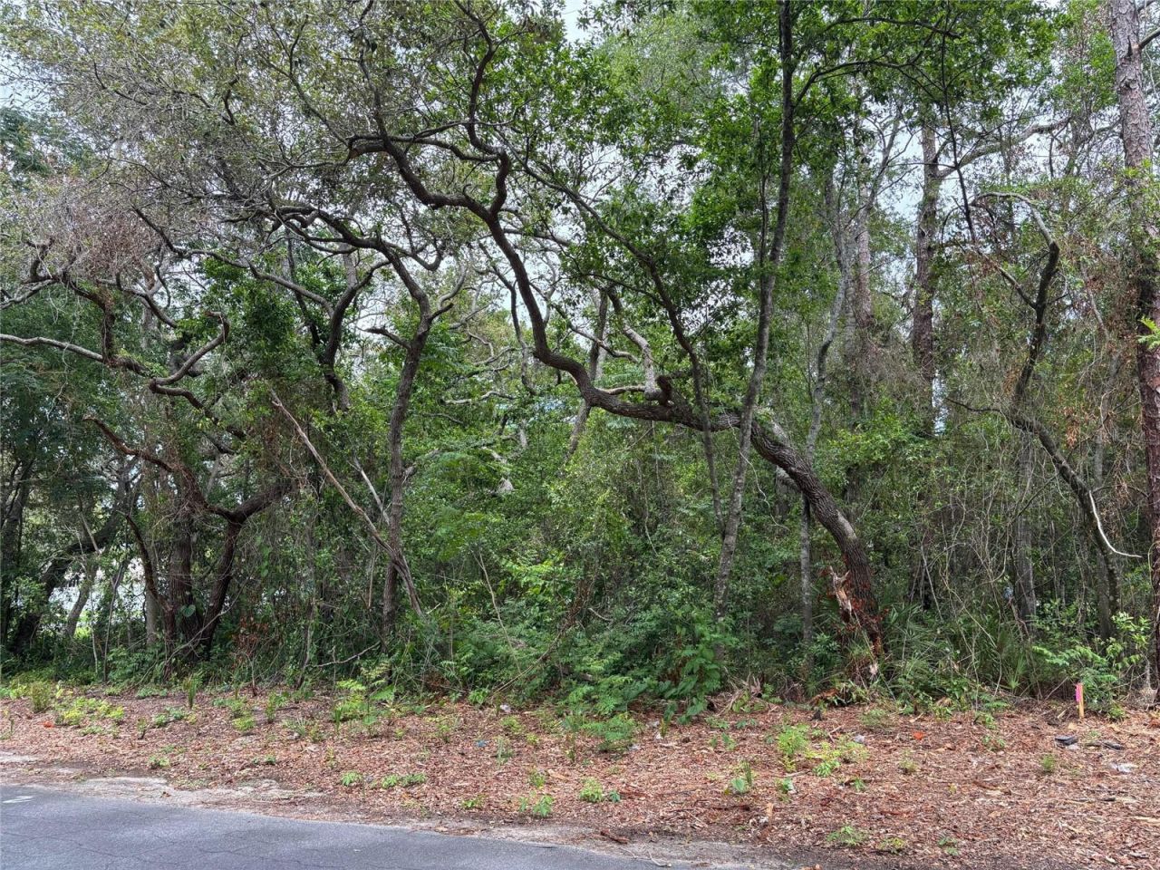 Lot W290 Navajo Trail, Spring Hill, FL 34606 Photo