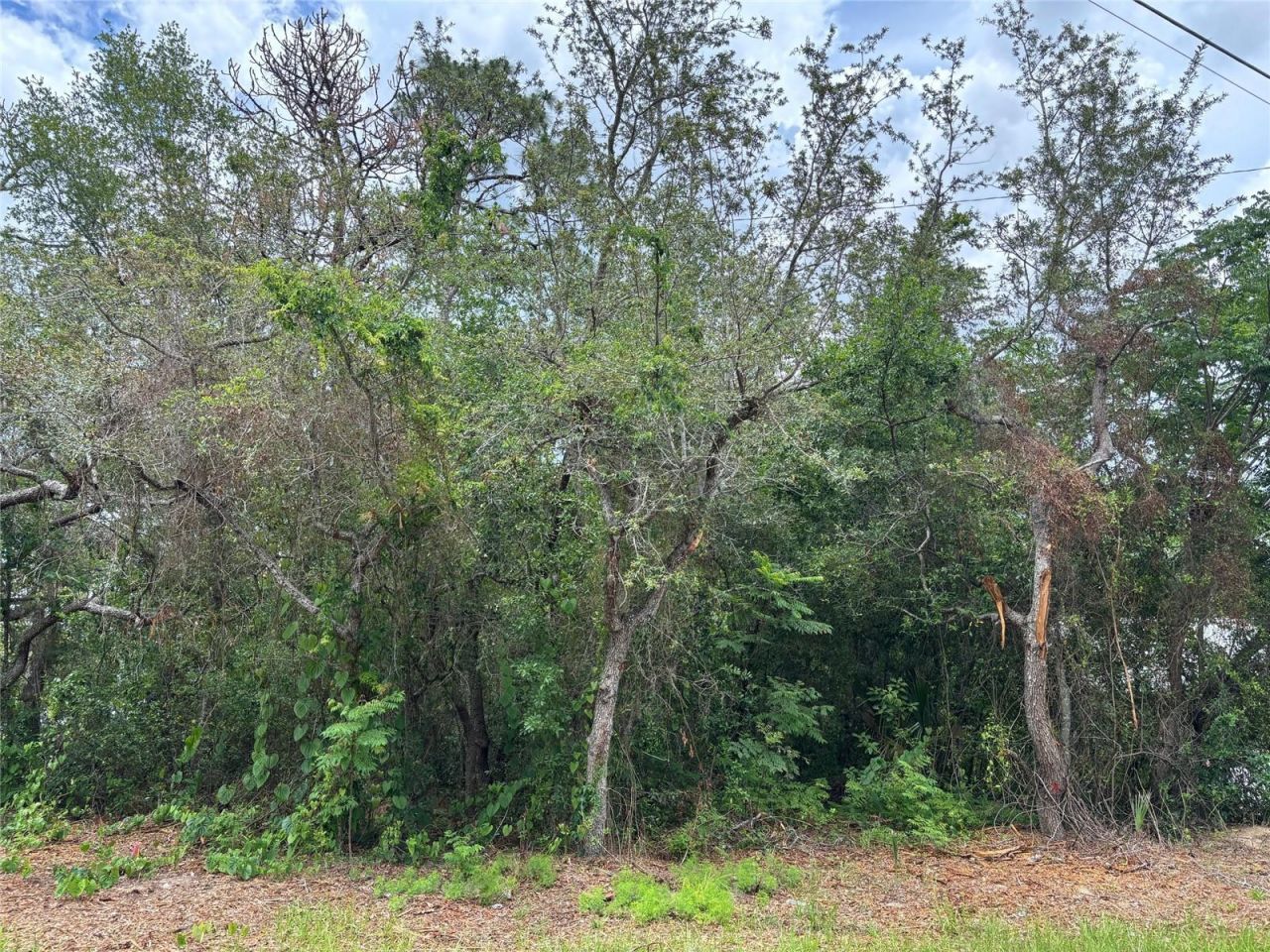Lot W290 Navajo Trail, Spring Hill, FL 34606 Photo