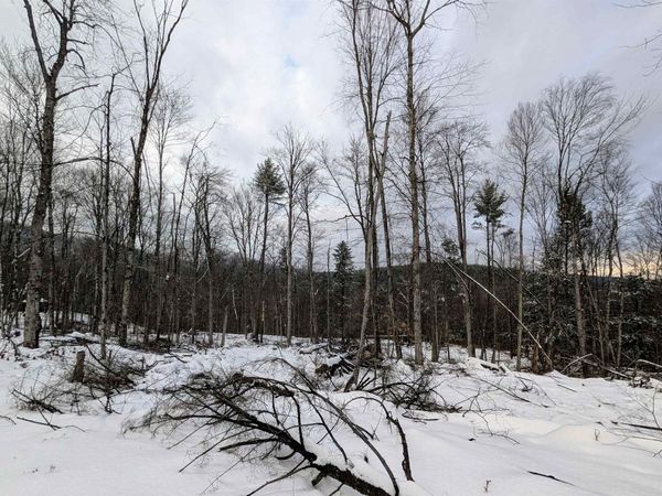 0 Dover Road, Newfane, VT 05351