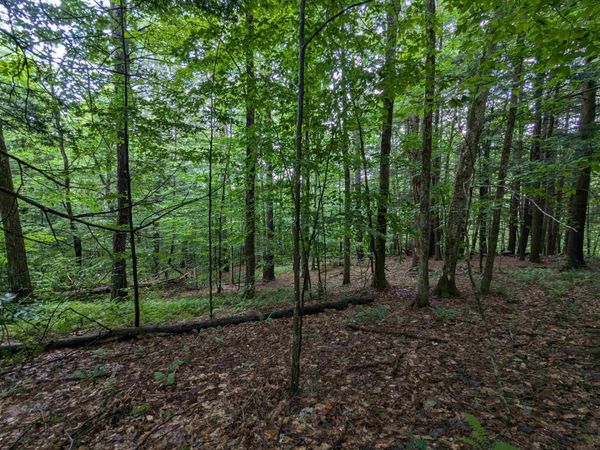 0 Dover Road, Newfane, VT 05351