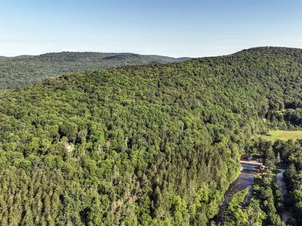 821 Berry Brook Road, Roscoe, NY 12776