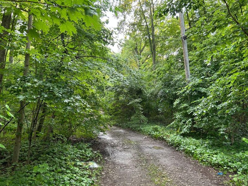 1 Jones, Put in Bay, OH 43456 Photo 7