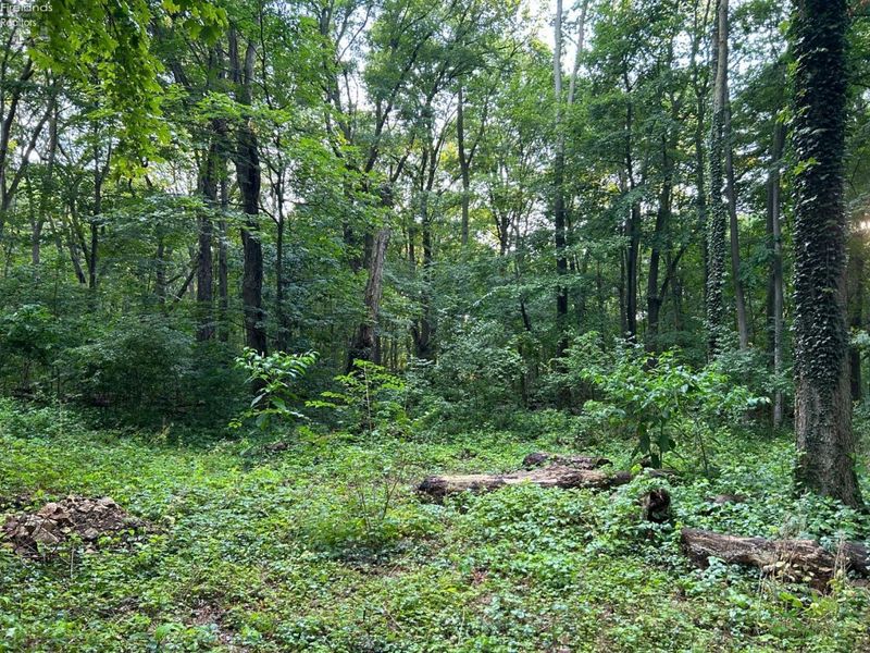 1 Jones, Put in Bay, OH 43456 Photo 9