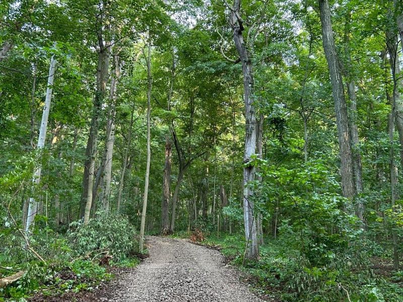 1 Elliot, Put in Bay, OH 43456 Photo 22